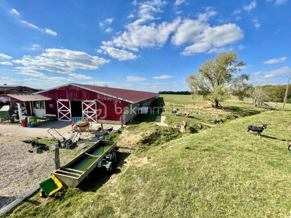 Vente Propriété/Château Propriété avec habitation et exploitation agricole – 3,8 ha de prairie Gisors