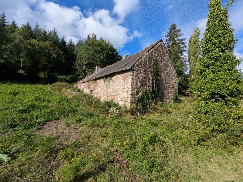 Ensemble de 3 Longères de 430m² au total en pierre a rénover avec appentis et grange parcelle de 8000 m² envrion