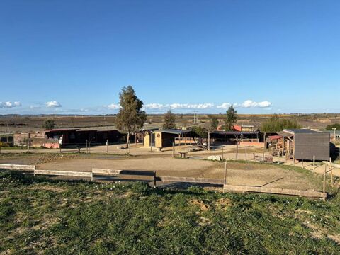 Vente Propri�t�/Ch�teau Propri�t� �questre avec habitation et installations � Bassan Bassan