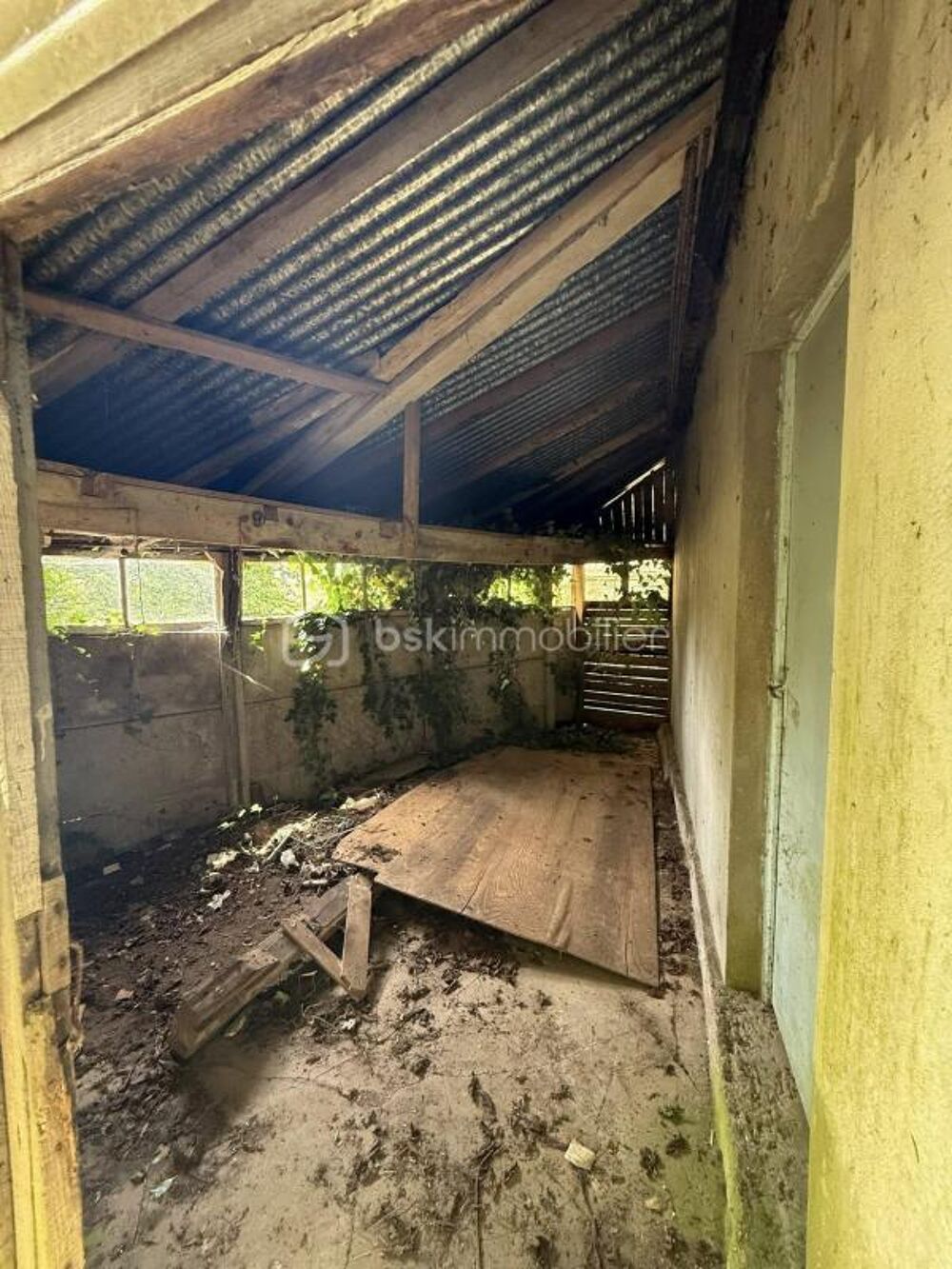 Opportunité rare à 10 minutes de La Ferté-Macé  Bâtiment à aménager + terrain arboré ??