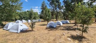  Terrain � vendre 42200 m�