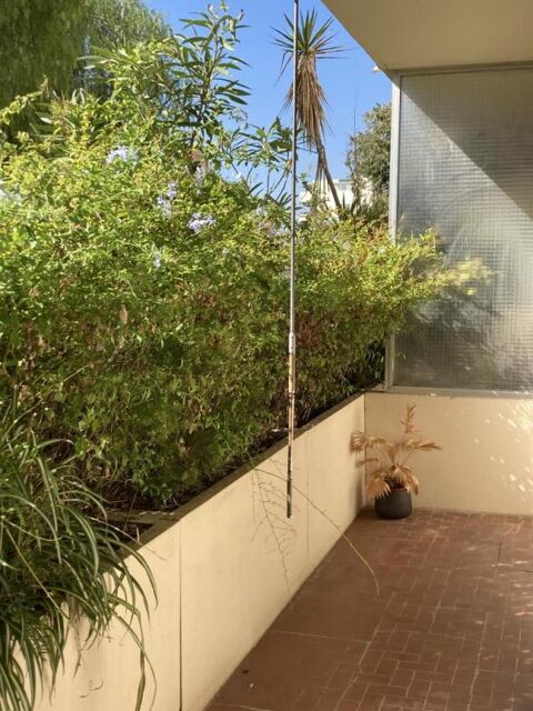  Appartement � louer 2 pi�ces 54 m�