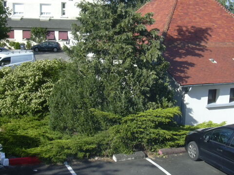  Appartement  louer 1 pice 27 m