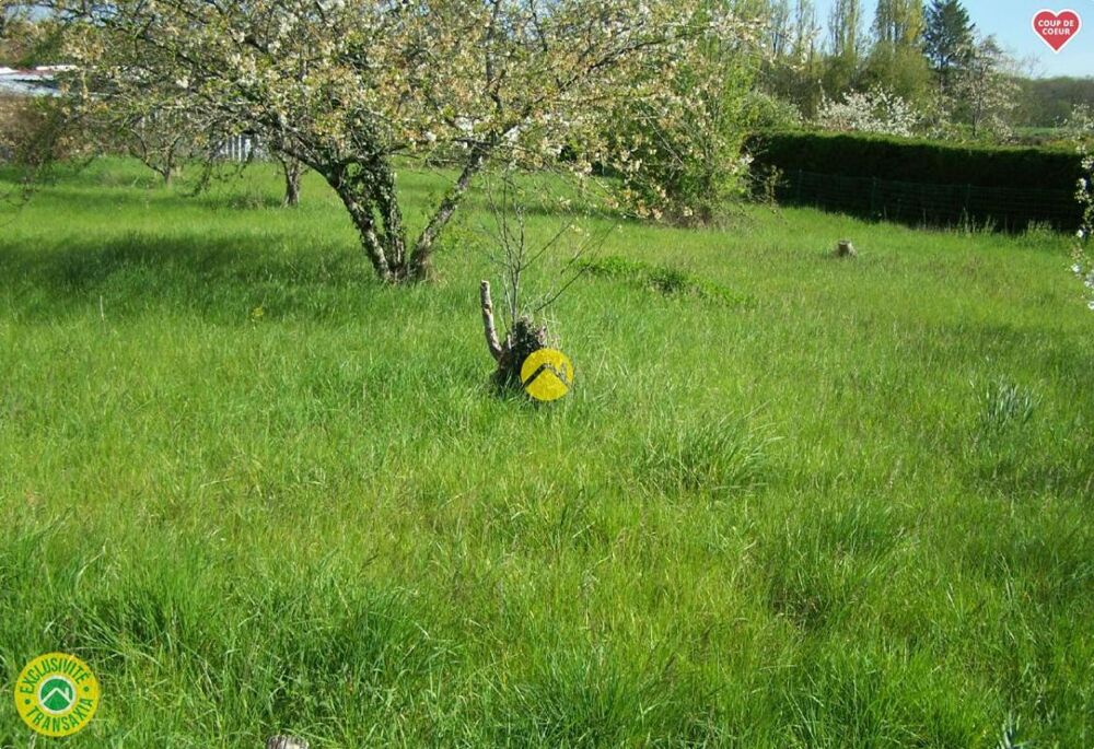 Vente Terrain TERRAIN DE LOISIRS C.U.POSITIF Saint florent sur cher