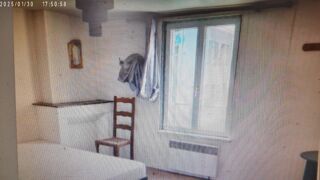  Maison à vendre 4 pièces 60 m²