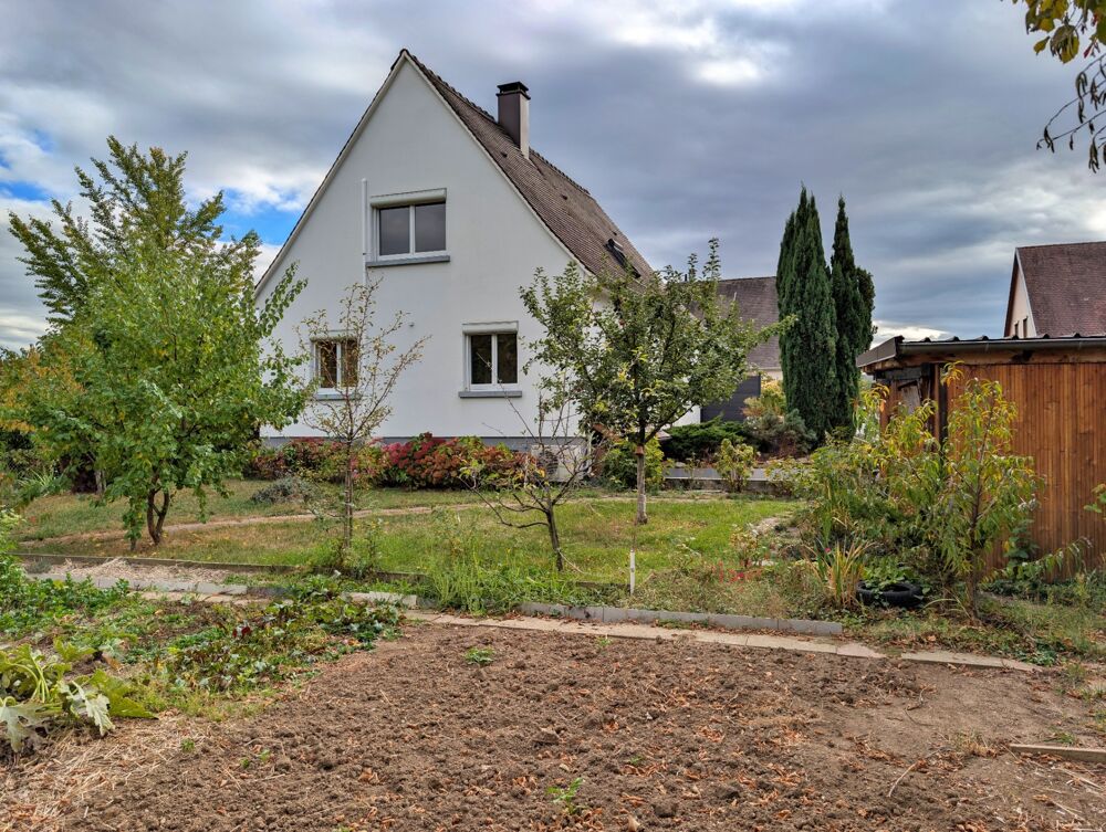 Vente Maison Maison à vendre 7 pièces  (68), maison de 130m2 - 4 chambres - sur une parcelle de 7.89 ares Kaysersberg