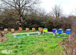  Terrain � vendre 120000 m�