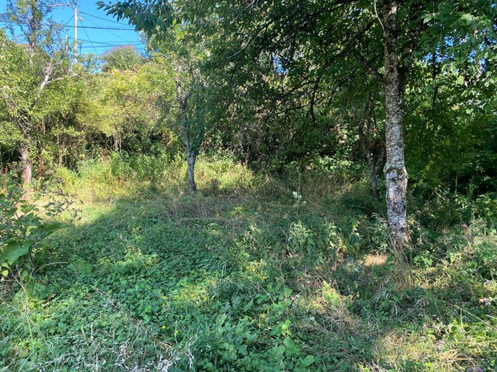 Vente Terrain Terrain constructible 1294 m2 Grenant les sombernon