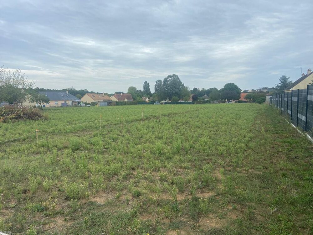 Vente Terrain Terrain La Chapelle D Aligne 4421 m2 La chapelle d aligne