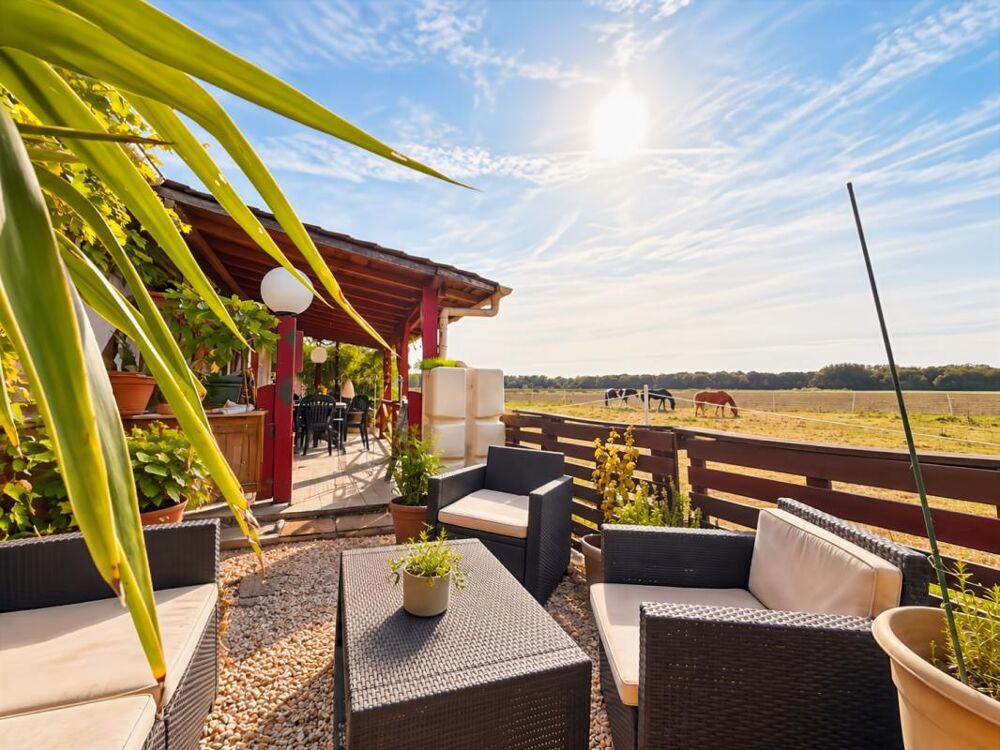 Vente Maison LONGÈRE DE 140 M² AVEC VUE SUR LA FORÊT DE NIEPPE - 3 CHAMBRES - VIE DE PLAIN-PIED - TERRASSE AVEC PERGOLA - MERVILLE Merville