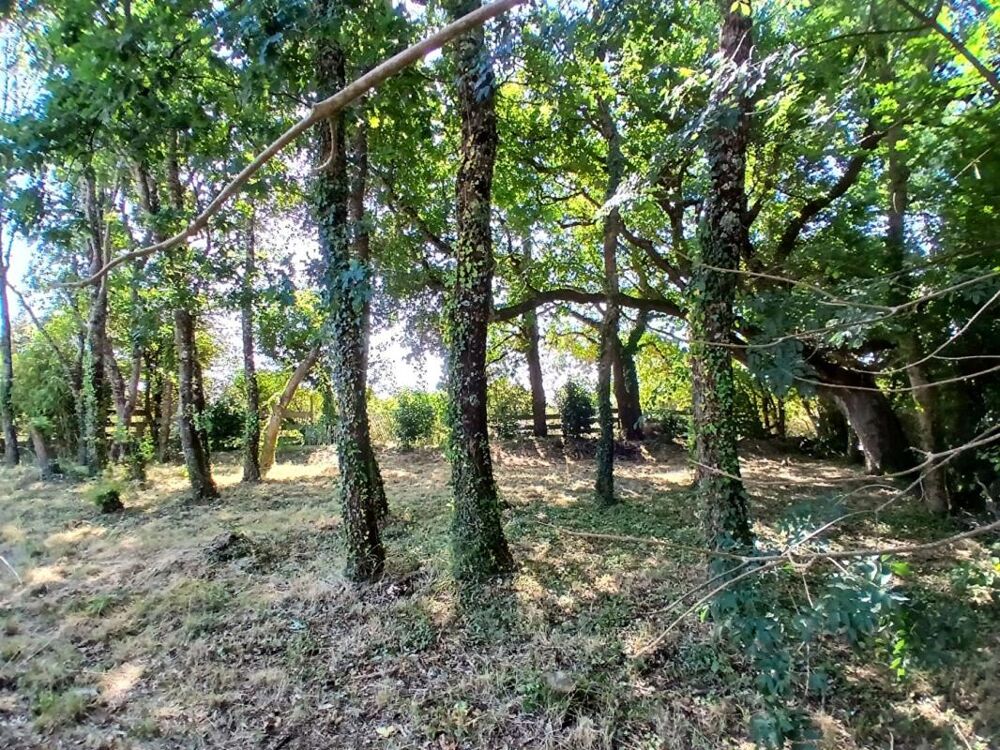 Vente Terrain Terrain constructible - Accès plage Landrezac - 792 m2 Sarzeau