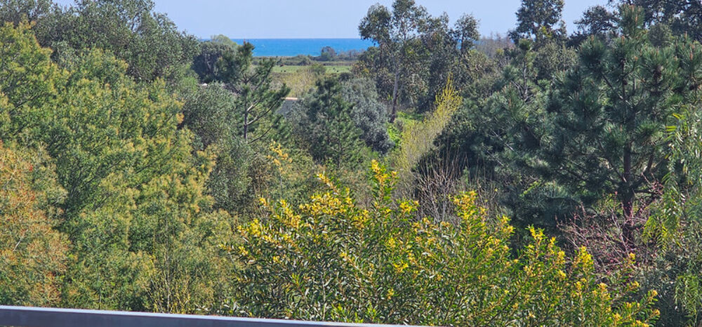 � vendre  Maison Solaro (20240)