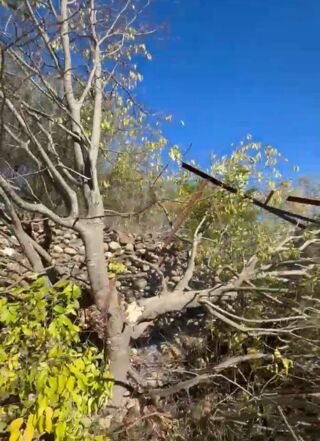  Appartement � vendre 5 pi�ces 163 m�