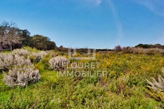  Propri�t�/ch�teau � vendre 7 pi�ces 230 m�