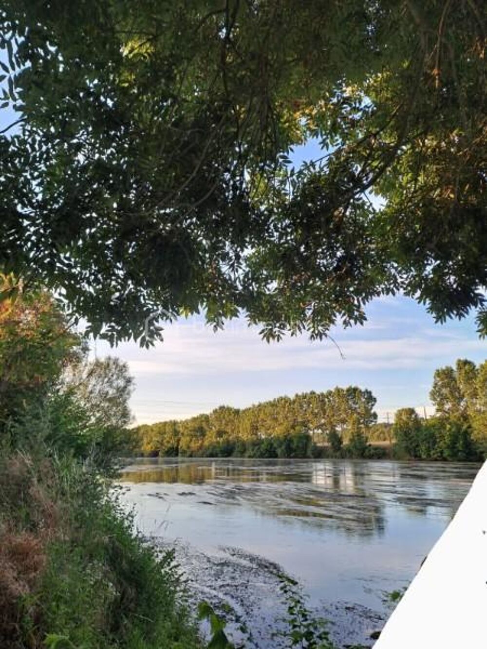 Vente Terrain ? Terrain en bord de Vienne – 463 m² – Chauvigny Chauvigny