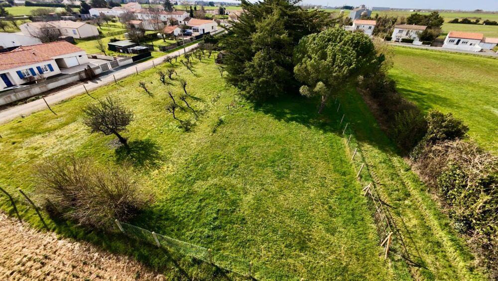 Vente Terrain LUCON (85) EXCEPTIONNEL ET RARE TERRAIN CONSTRUCTIBLE 2239 M²+760 M² A VIABILISER ET HORS LOTISSEMENT Lucon