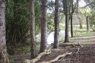  Maison � vendre 8 pi�ces 245 m�