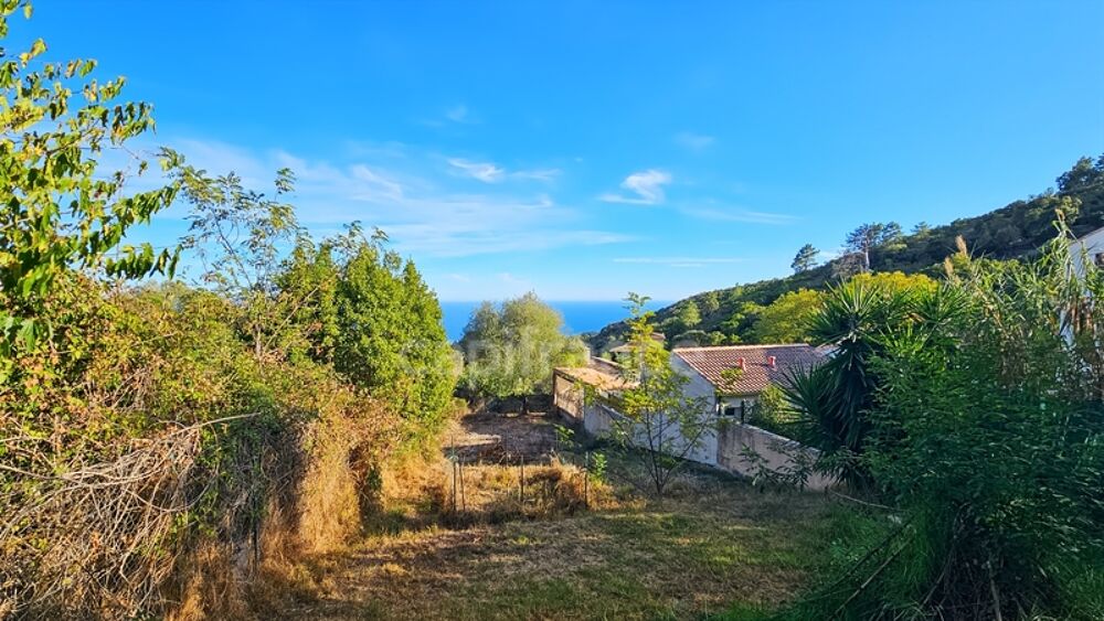 À vendre  Sari-Solenzara Maison vue mer panoramique et charme méditerranéen assuré ( vendu libre de toute occupation)