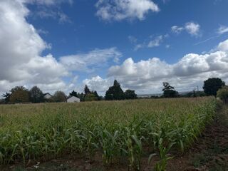  Terrain � vendre 11025 m�