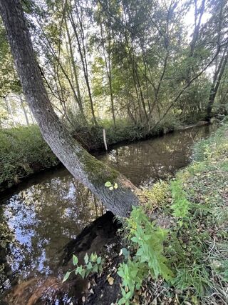  Ferme  vendre 4 pices 60 m