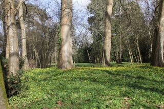  Terrain � vendre 8124 m�