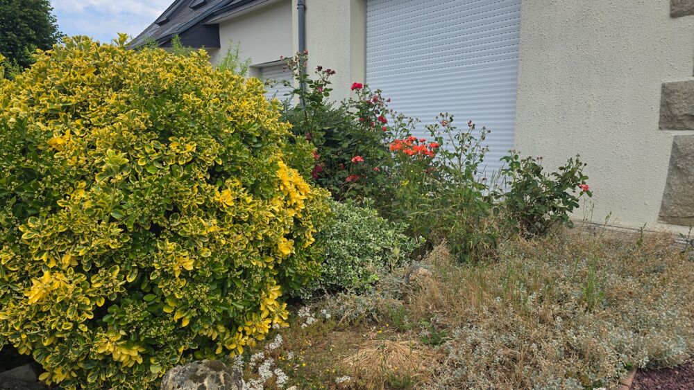 Vente Maison Maison à vendre 8 pièces - dépendance - sous-sol - greniers à RENNES EST- CESSON SEVIGNE (35) Cesson sevigne