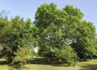  Maison � vendre 3 pi�ces 105 m�