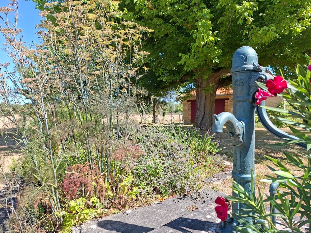Vente Maison Jolie longère authentique + 170 m2 , sans aucun vis à vis au bord du Perche, entre campagne et forets,  avec dépendance, buchet Mortagne au perche