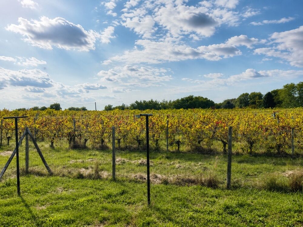 BOURG DE CARIGNAN DE BORDEAUX