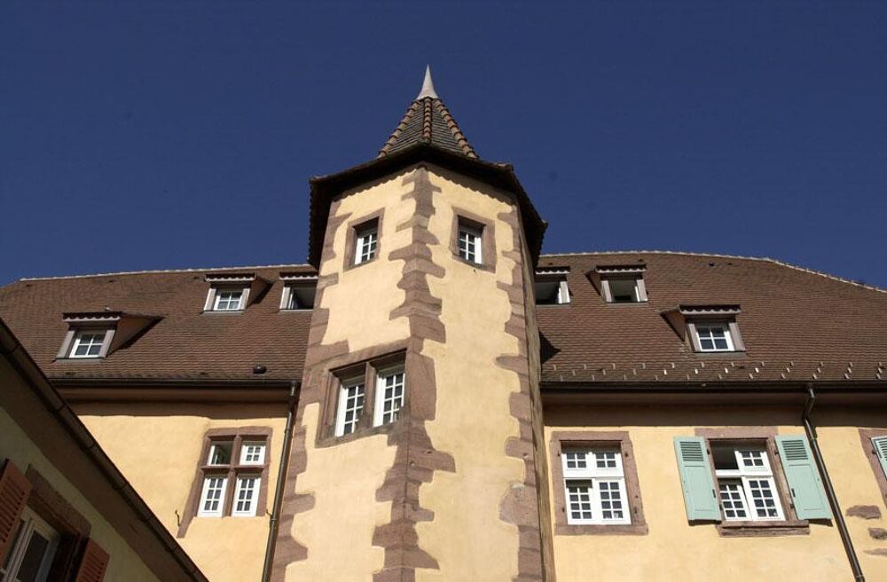 Location Appartement 27400097 - Appartement - F3 - Kaysersberg Vignoble (68240) Kaysersberg