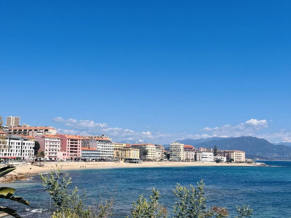 Vente Appartement A VENDRE APPARTEMENT F2 PARC BERTHAULT Ajaccio