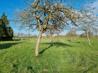  Maison à vendre 1 pièce 75 m²
