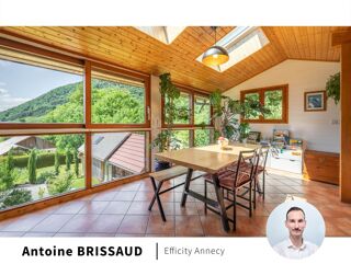 Vente Appartement Appartement rénové Veyrier du lac
