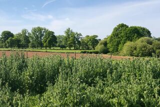  Maison � vendre 2 pi�ces 144 m�