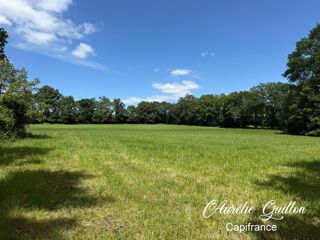  Terrain � vendre 19808 m�
