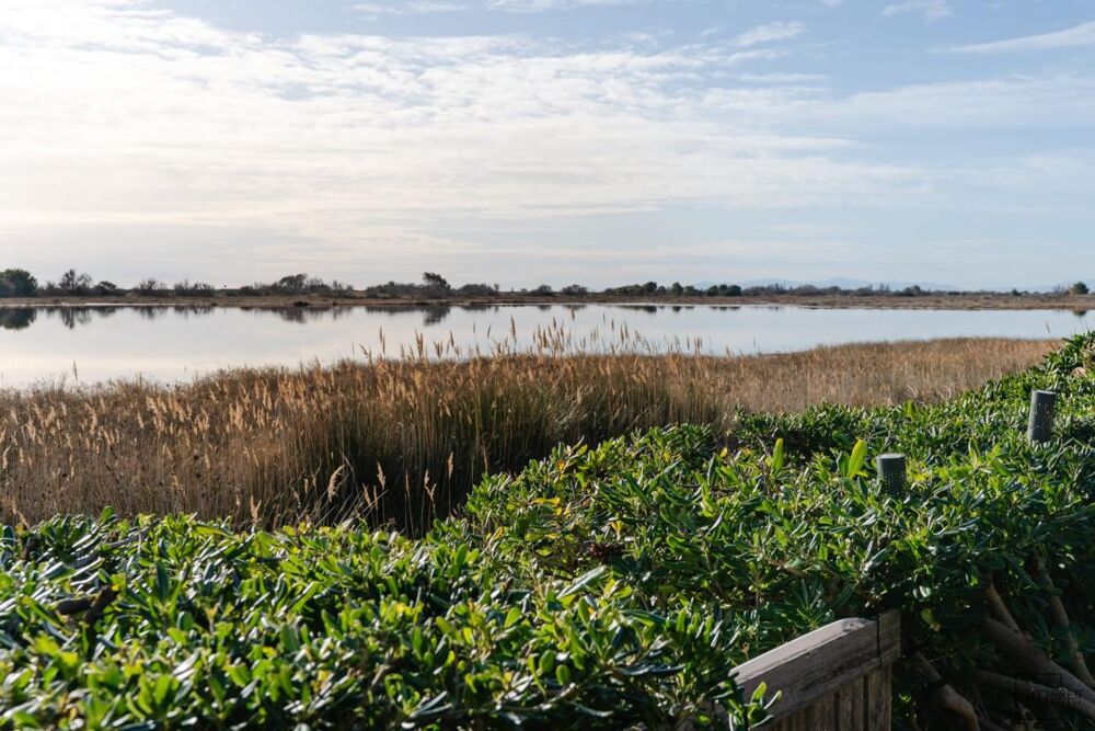 Vente Villa Maison à vendre Gruissan Gruissan