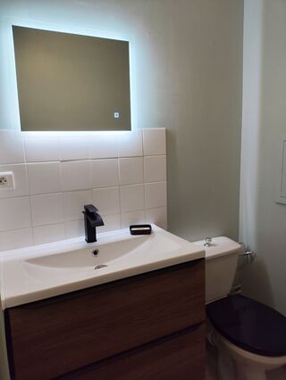  Appartement à louer 1 pièce 20 m²