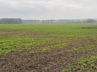 Terrain à vendre 926 m²