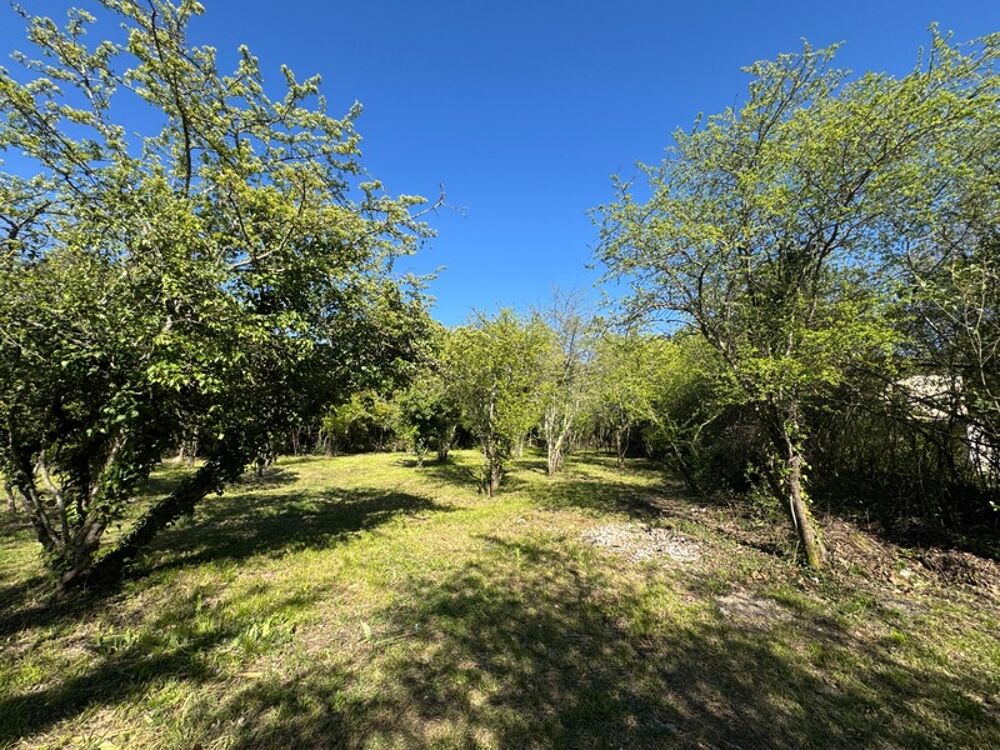 Vente Terrain Terrain constructible de 2 280 m² - SAINT HIPPOLYTE DU FORT (30) Saint hippolyte du fort