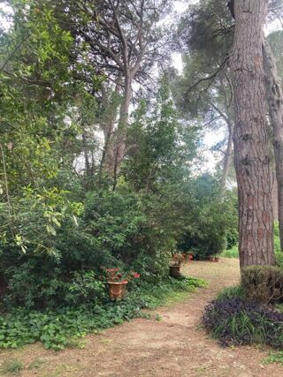  Propri�t�/ch�teau � vendre 9 pi�ces 260 m�