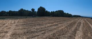  Terrain à vendre 12431 m²