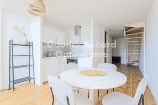  Duplex/triplex  vendre 3 pices 60 m