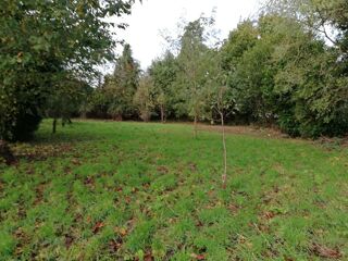  Terrain à vendre 800 m²