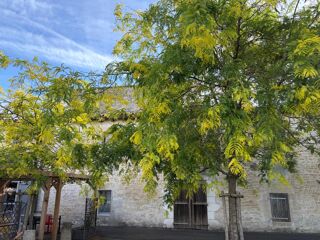  Immeuble à vendre 1500 m²