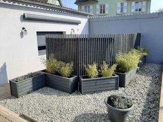Location Appartement Studio de 19m2 à louer sur Colmar Colmar