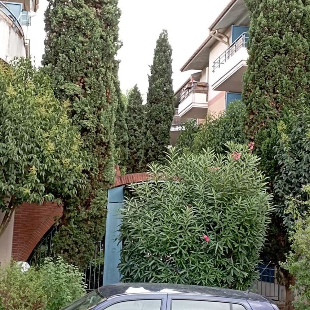 Location Appartement Studio de 24m2 à louer sur Toulouse Toulouse