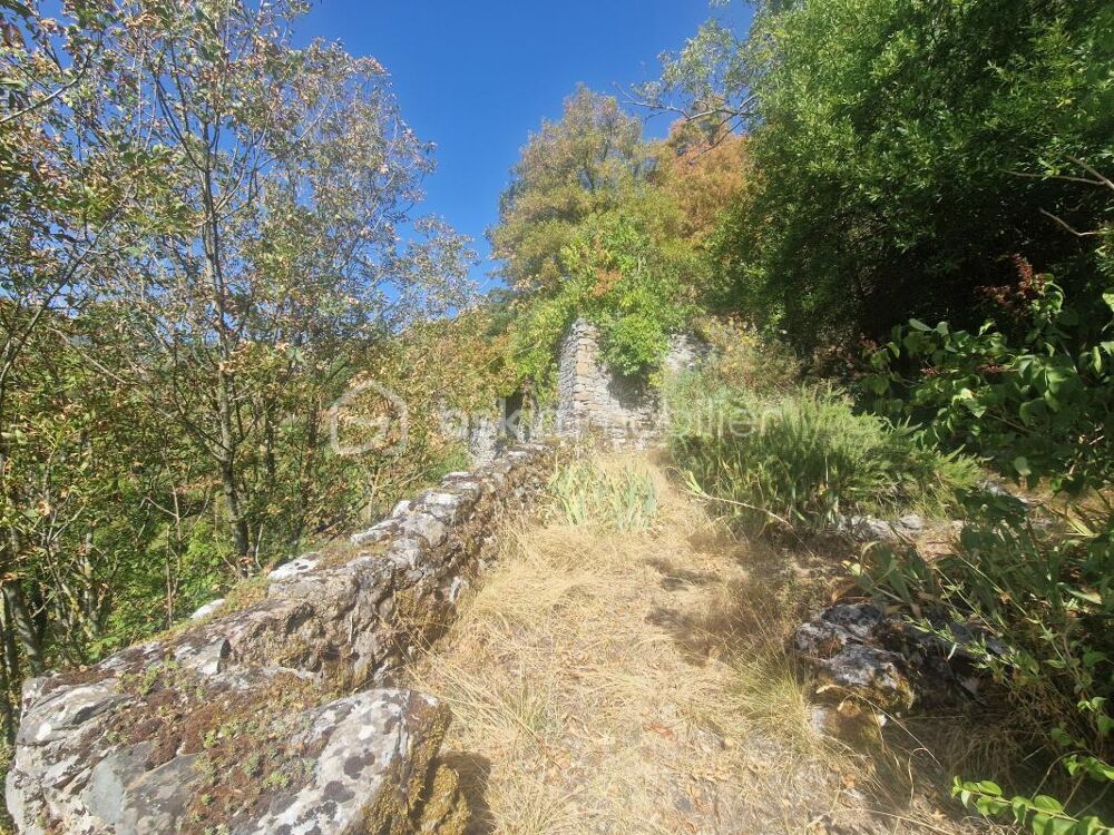 Vente Propriété/Château Unique en son genre! Maison de 90m² environ sur un terrain de 6852 m² avec les vestiges du Château médiéval!! Brusque