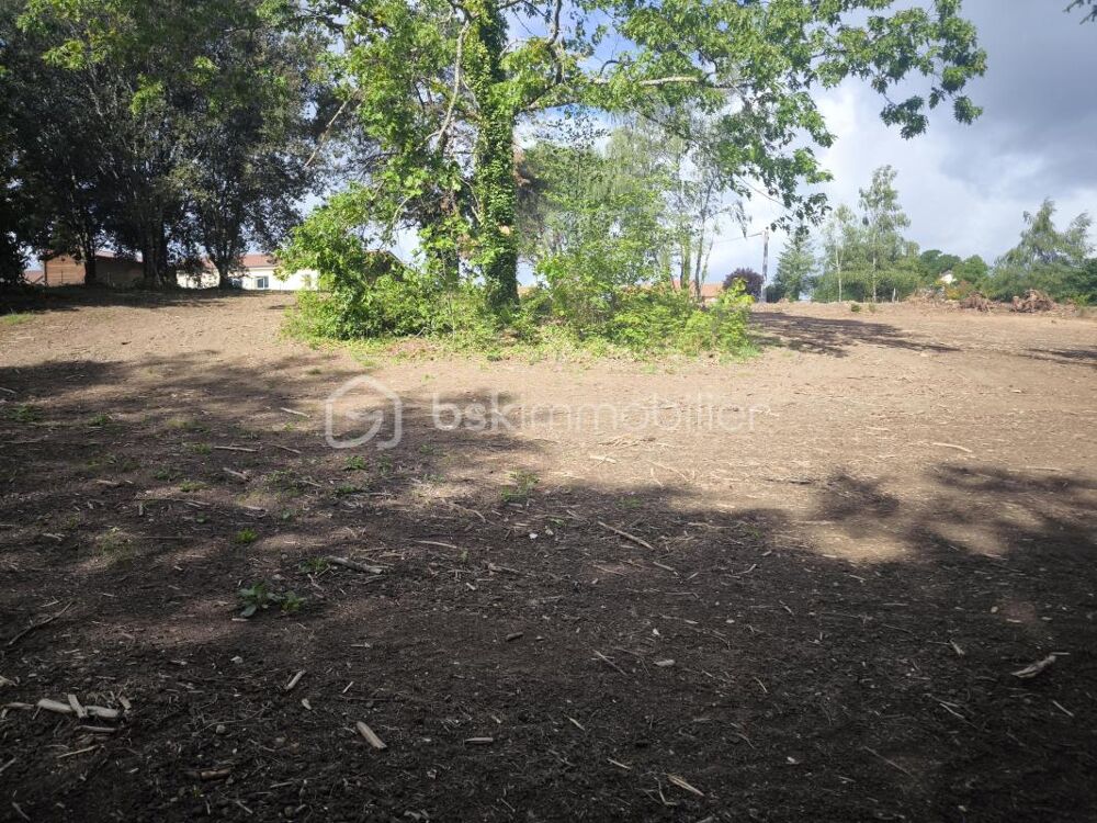 Vente Terrain ? Coup de cœur – Grand terrain constructible entre nature et commodités à Oradour-sur-Glane ? Oradour sur glane