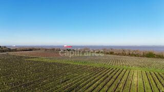  Propri�t�/ch�teau � vendre 12 pi�ces 1357 m�