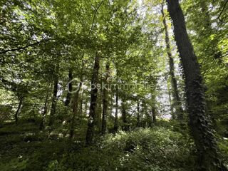  Terrain à vendre 5995 m²